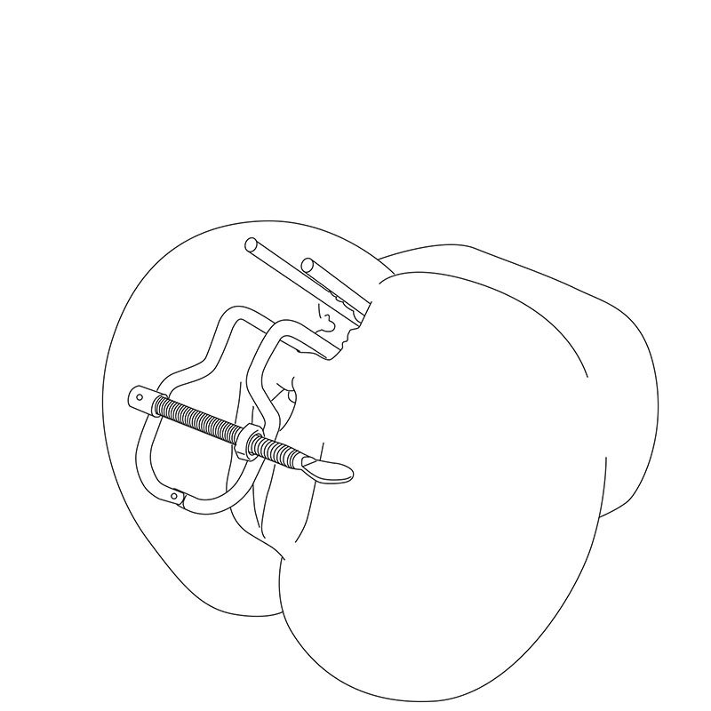Foto do produto Expansor Anal Vaginal com Ajuste de Abertura